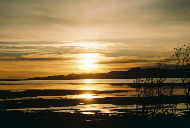 The Great Salt Lake At Sunset