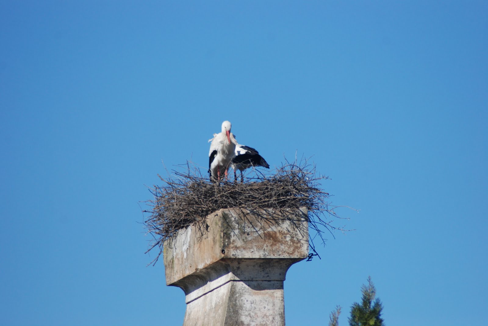 [DSC_0025.JPG]