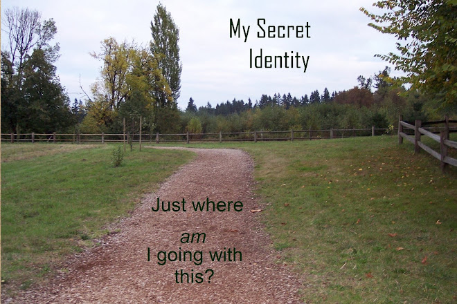 My Secret Identity