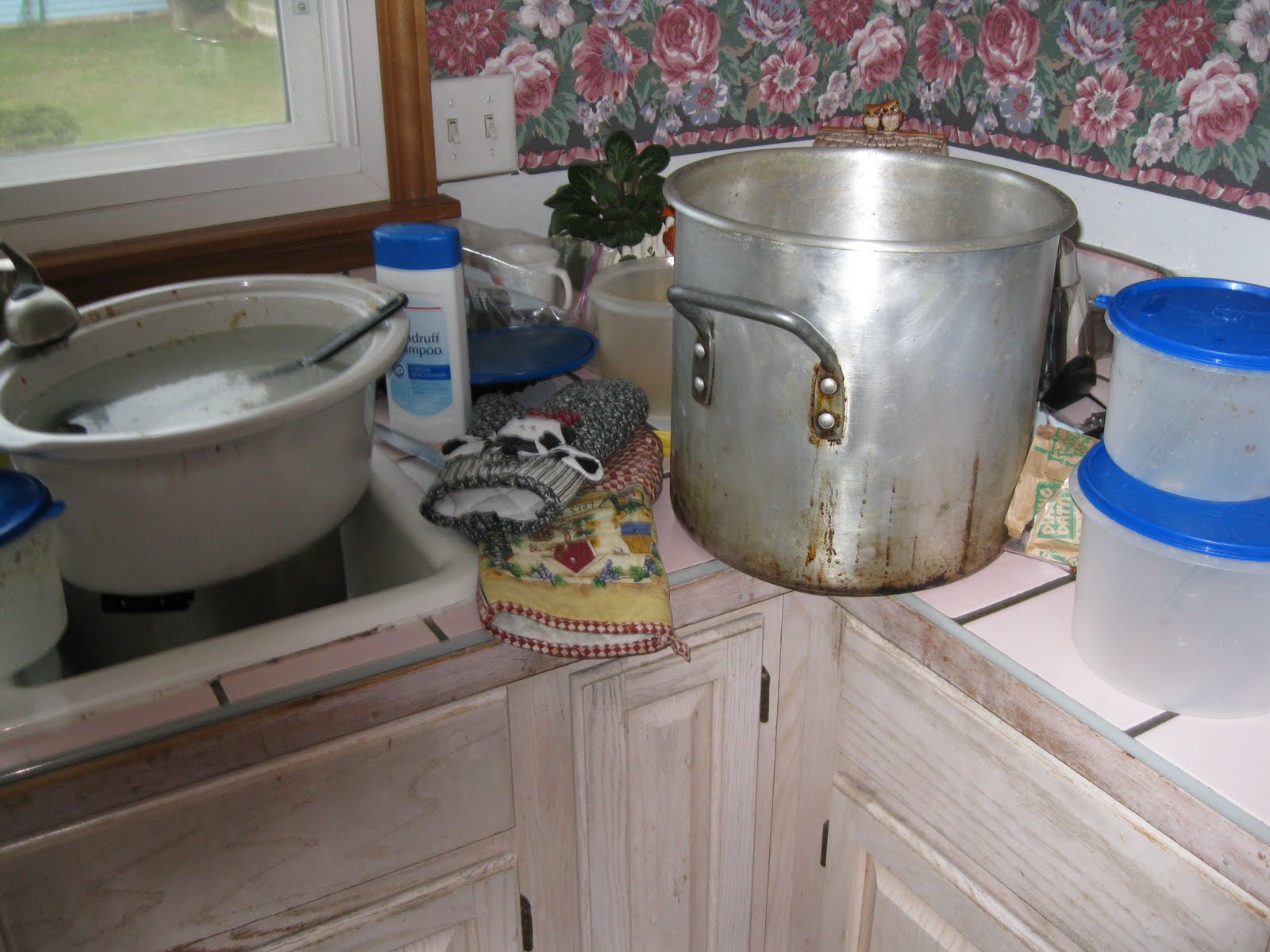 [IMG_0985.JPG]