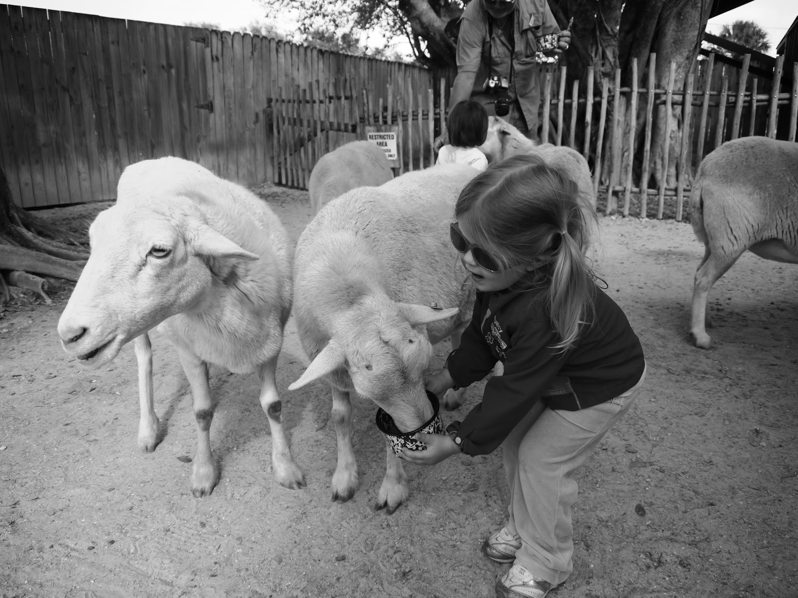 Lion Country Safari Review