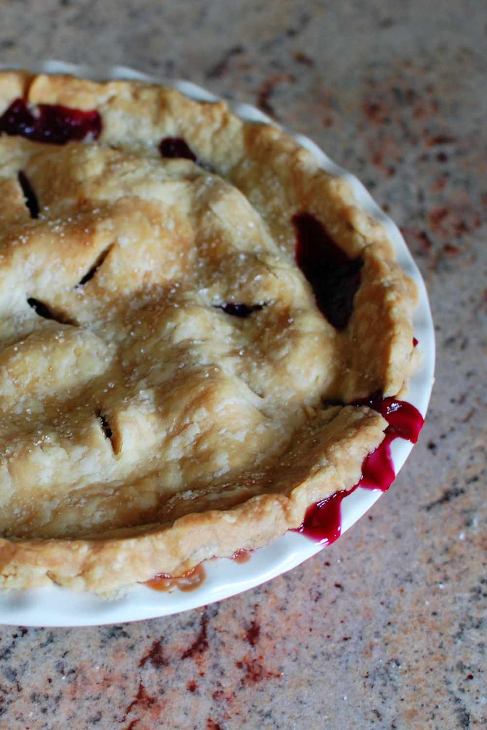 Blueberry Rhubarb Pie | Beantown Baker