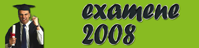 Examene 2008