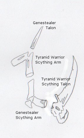 [Warrior+Arm+Build.jpg]