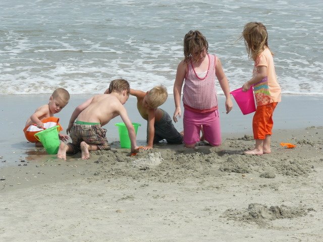 [P1120657.JPG]