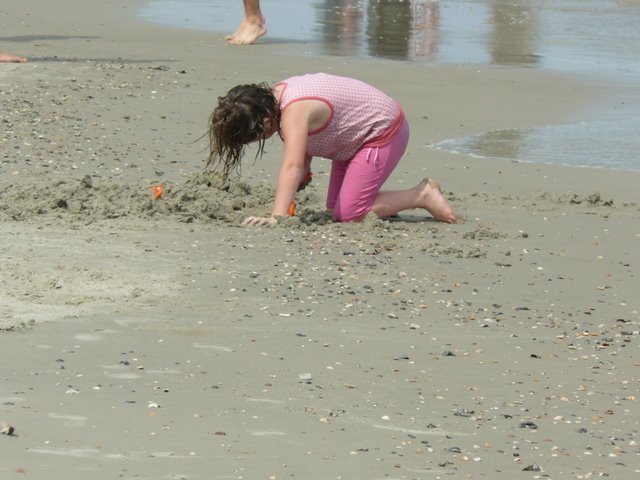 [P1120655.JPG]