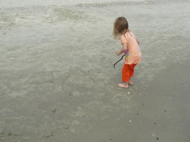 [P1120650.JPG]