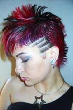 Layered Hairstyle Punk Girl Red Mohawk Hairstyle