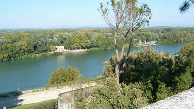 [Avignon11.jpg]