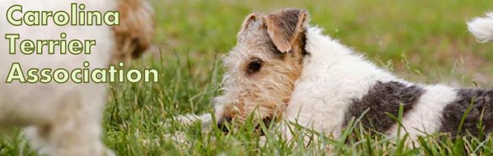 Carolina Terrier Assocation