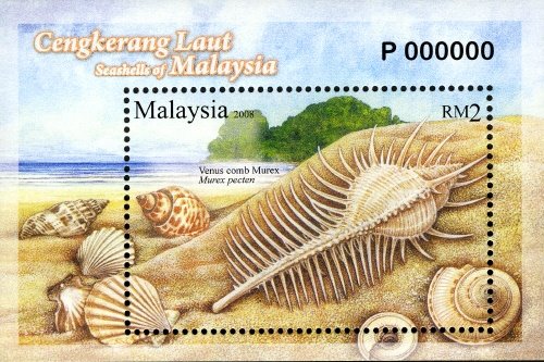 [Malaysia_shell2008_2.jpg]
