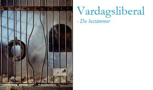 Vardagsliberal