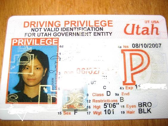 [drivers+licence.JPG]