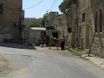 Tel Rumeida