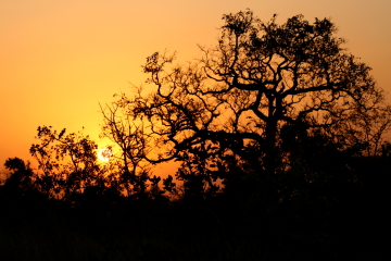 Couché de soleil