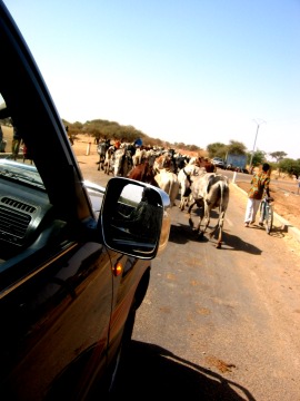 Chaos routier