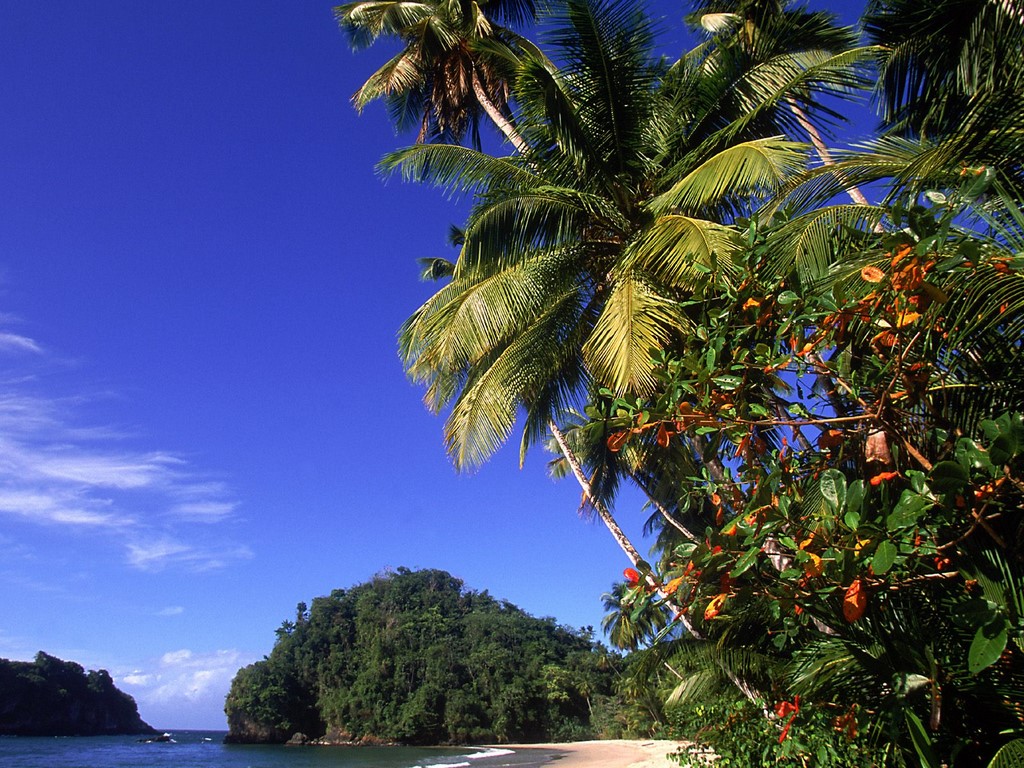 http://2.bp.blogspot.com/_eZunZCXnyLw/TFkPsnIMRiI/AAAAAAAAADM/iRerM_Grt54/s1600/Paria_Beach,_Trinidad_and_Tobago.jpg