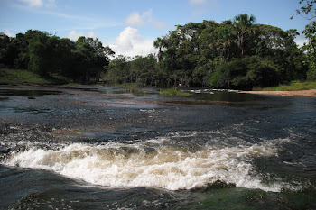 Balneário do Henrique