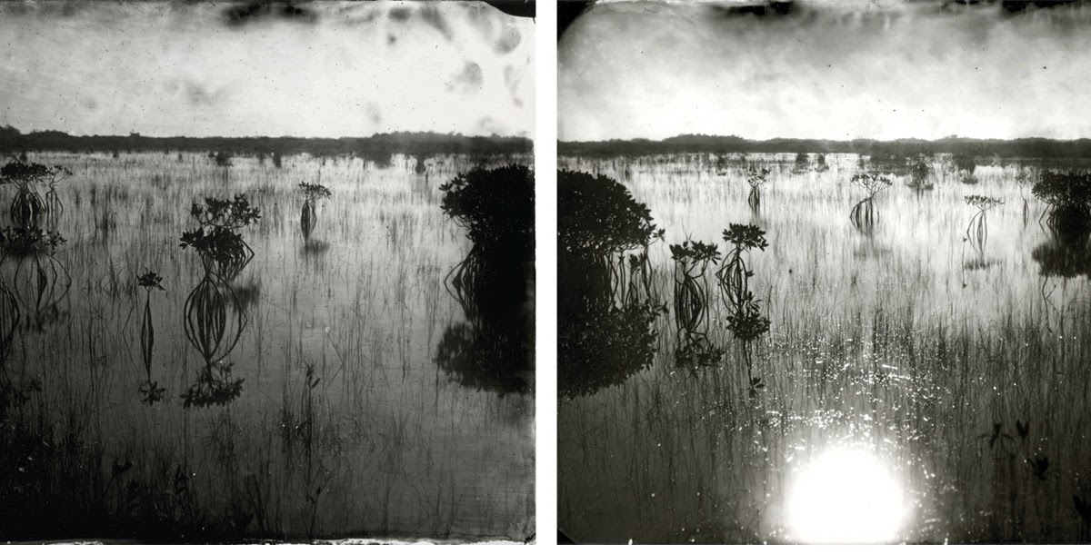 Inspired by Senses Alternative Photography Processes
