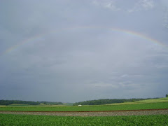 A Rainbow of Love