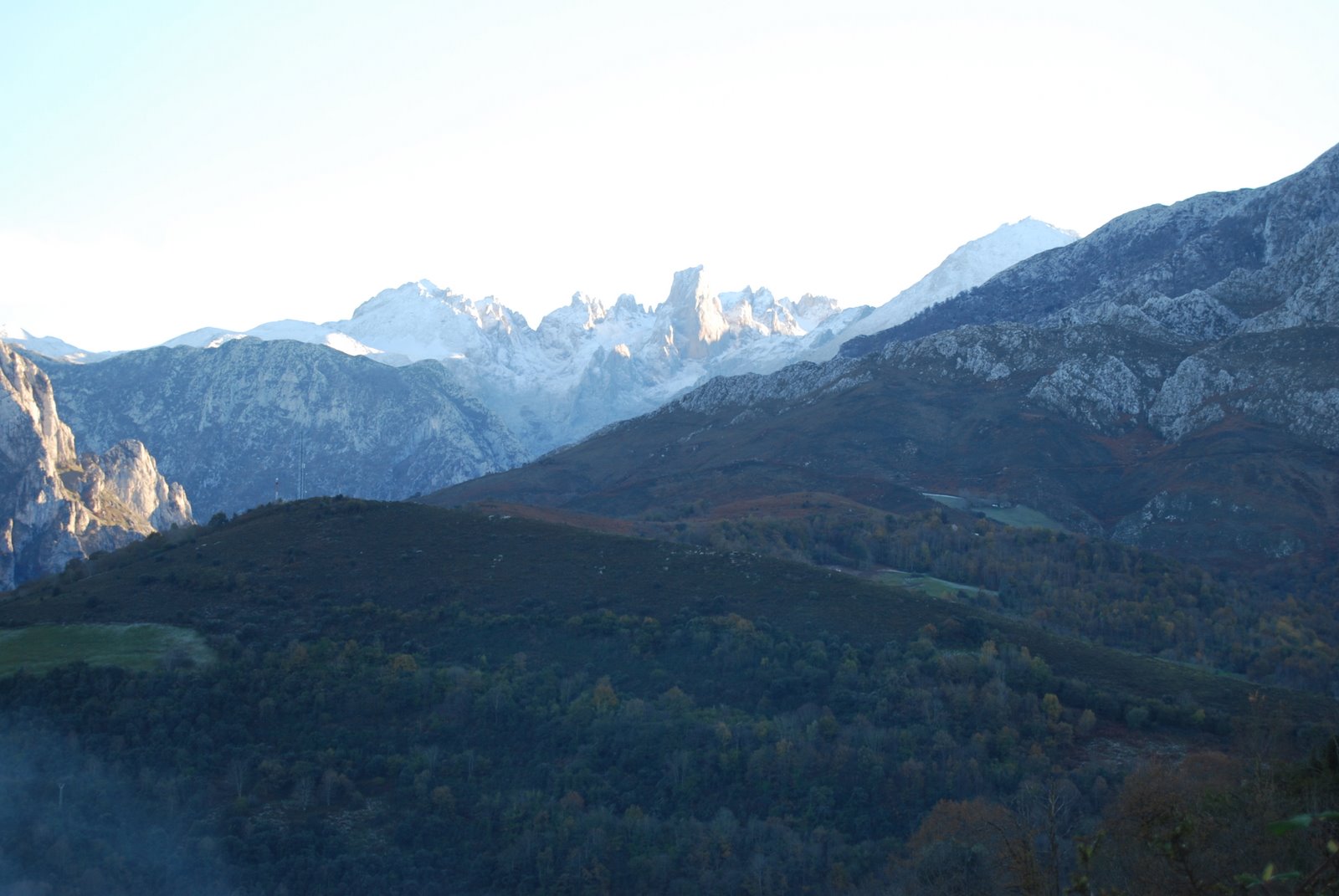 [DSC_0135.JPG]