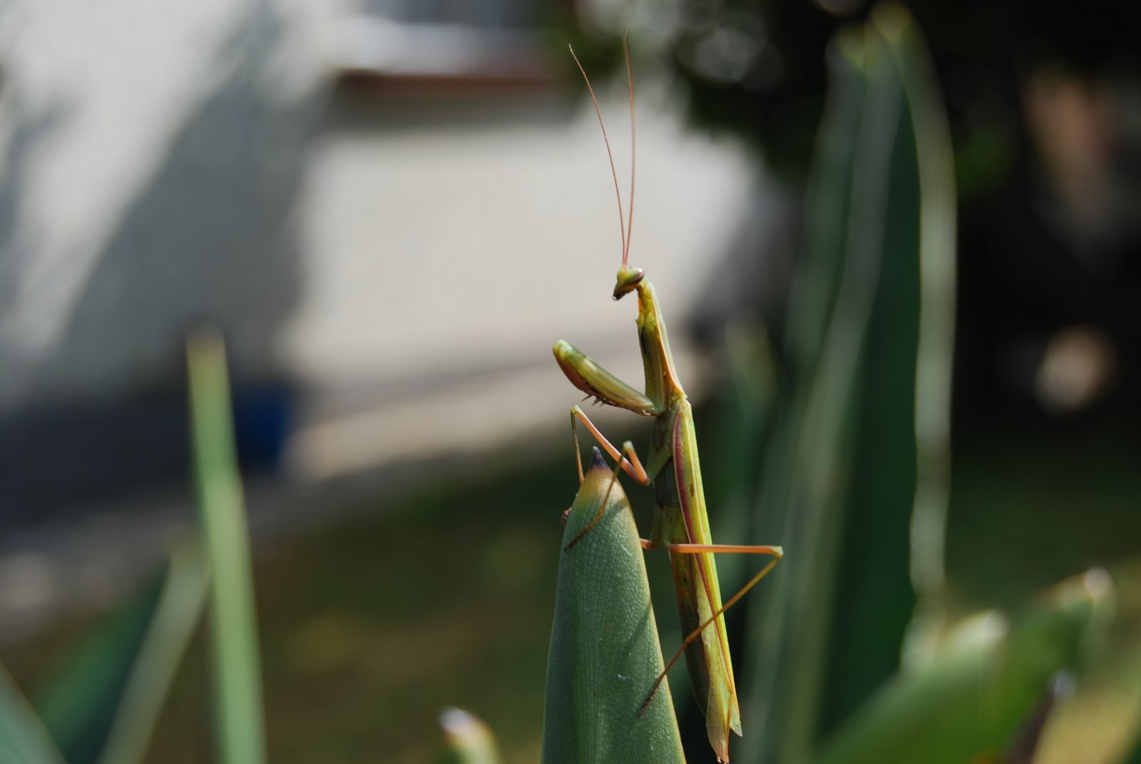 [DSC_0072.JPG]