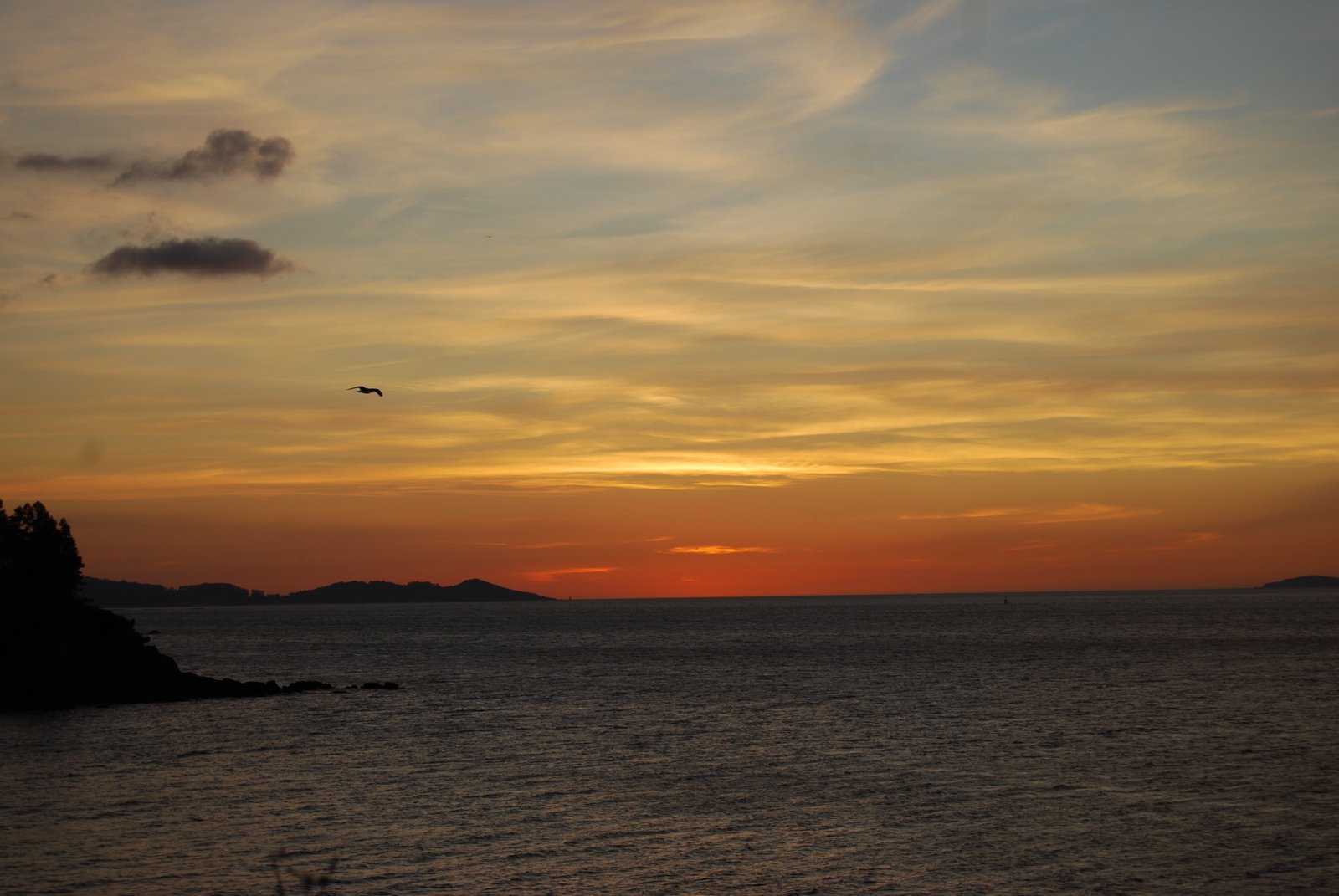 [DSC_0407.JPG]