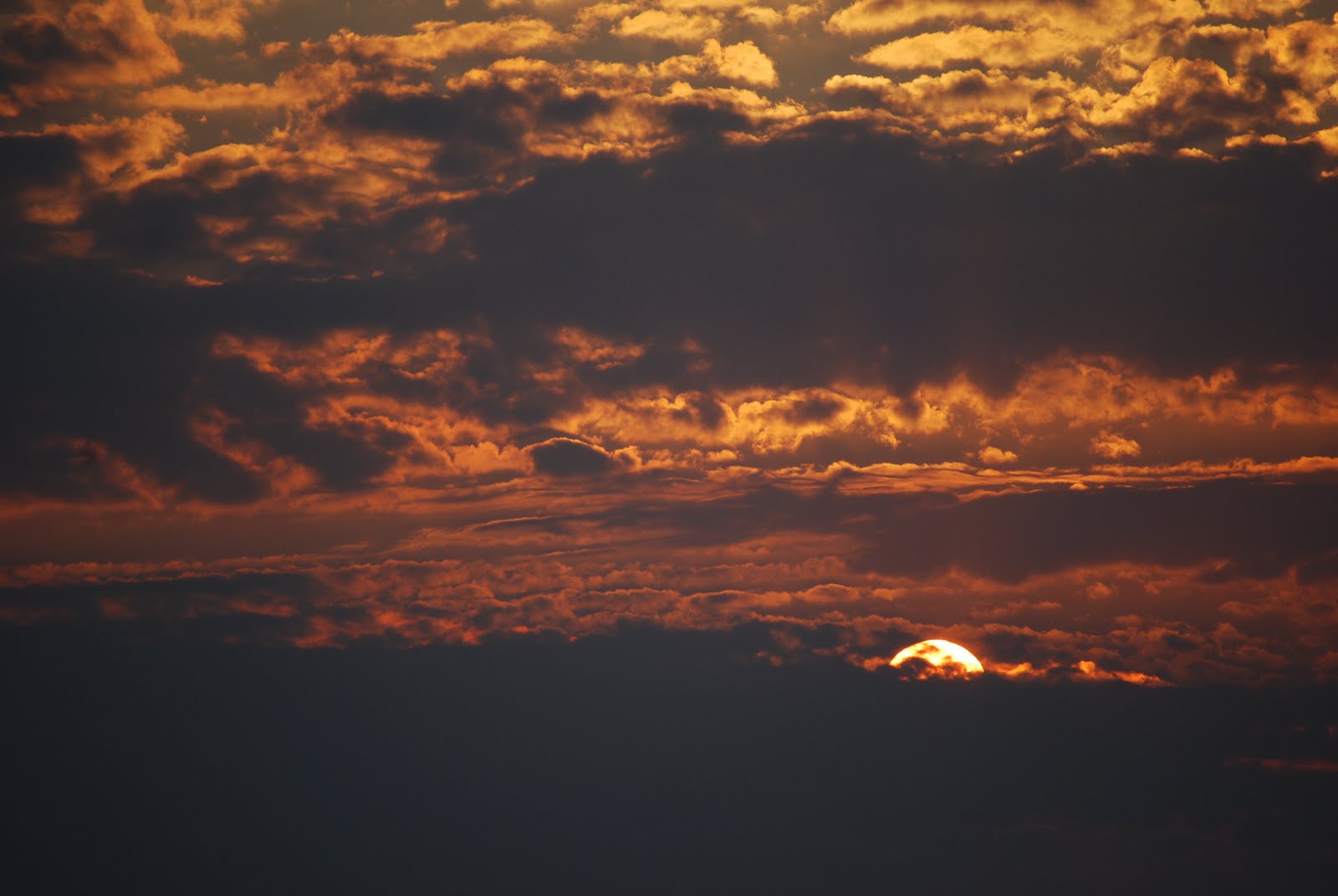 [DSC_0906.JPG]