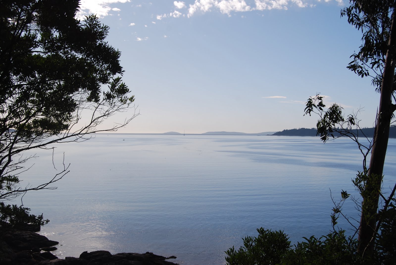 [DSC_1733.JPG]