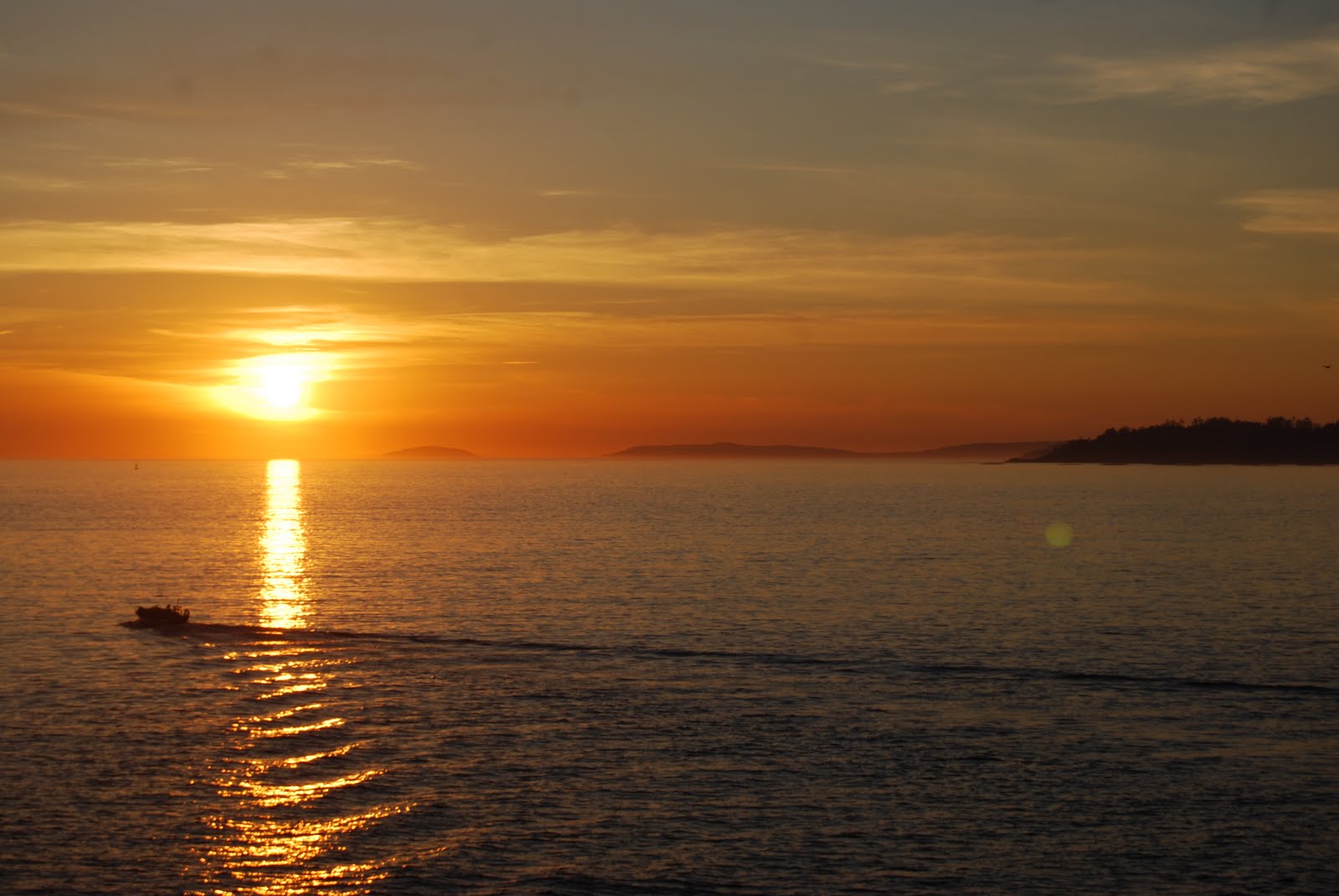 [DSC_1846.JPG]