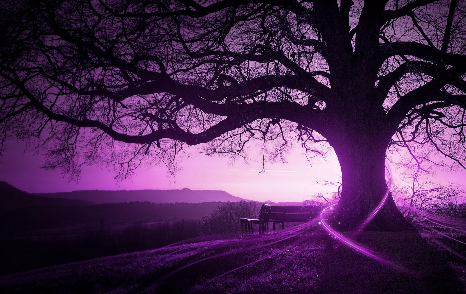 themaiestasphotography more awesome backgrounds awesome backround