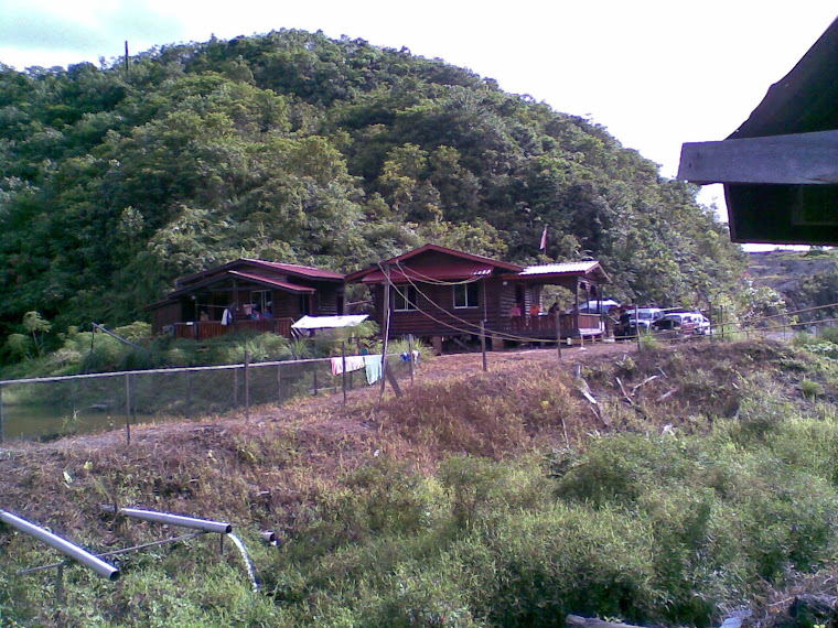 View-Log Cabin