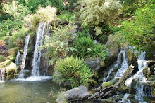 Week # 8 - Waterfalls