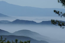 Week # 20 - Misty Morning