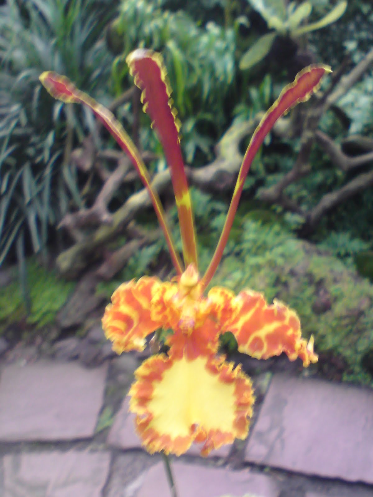 [DSC01876.JPG]