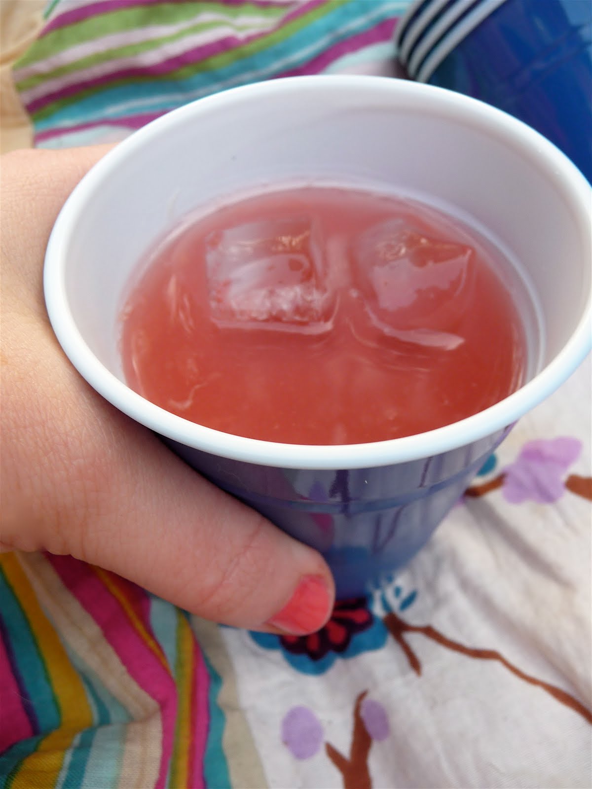 dinner party the colonial