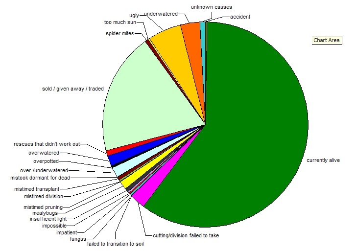 Plants are the Strangest People How My Plants Die