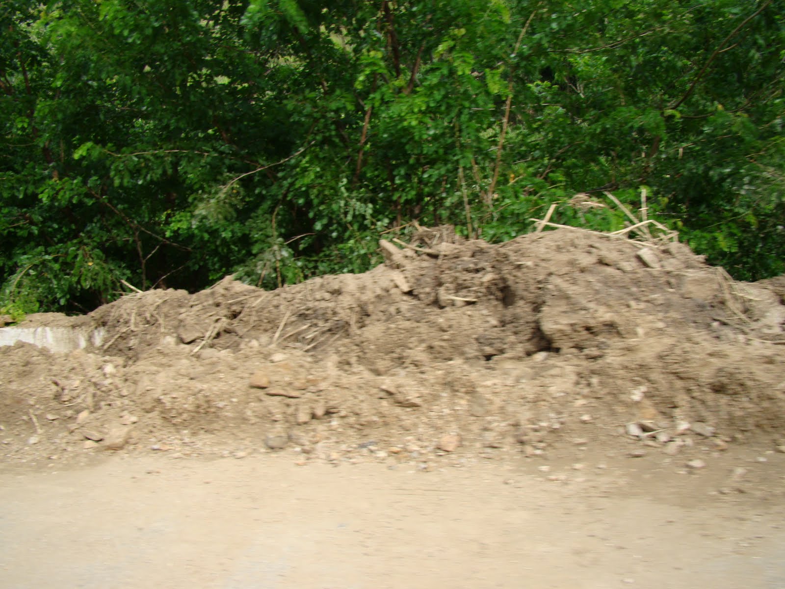 [DSC07083.JPG]