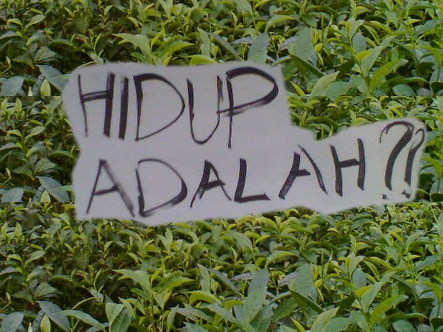 Pilihan Hidup …