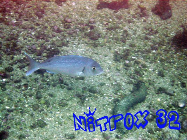 [2008-08-15+027+(Small).jpg]