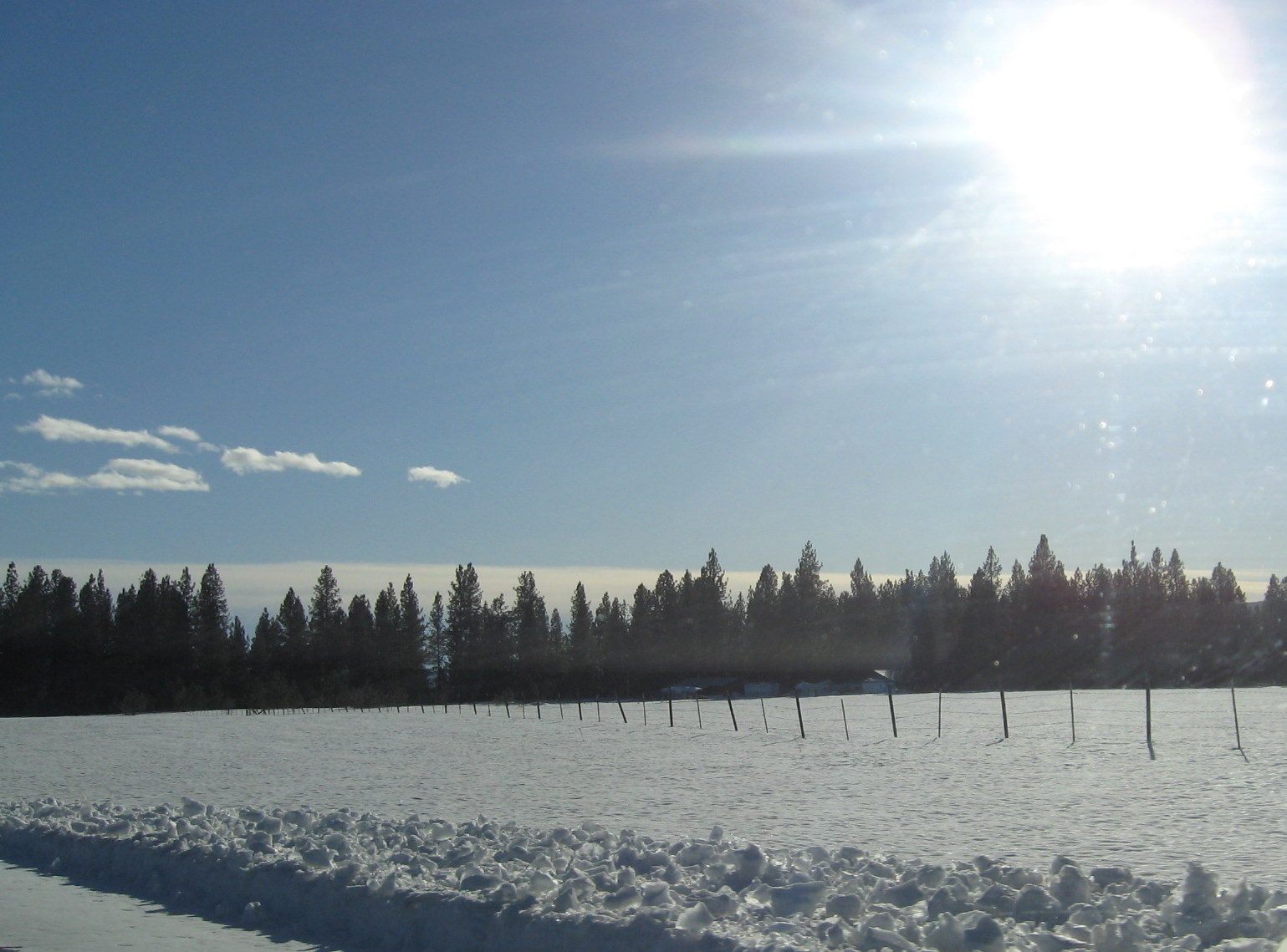[IMG_8564.JPG]