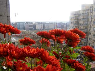 Watching the city from my balcony...
