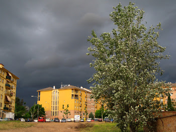 TARDE DE TORMENTA