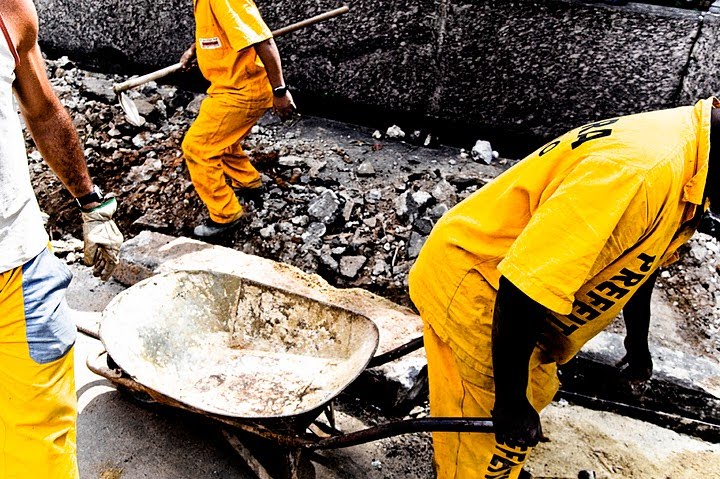 [CHAPOLIM_Tripolium10.jpg]