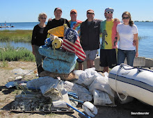 BEACH CLEANUPS