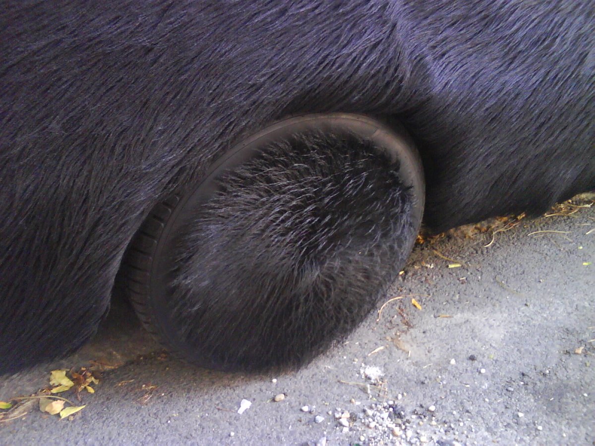 [4580_DSC00125.JPG]