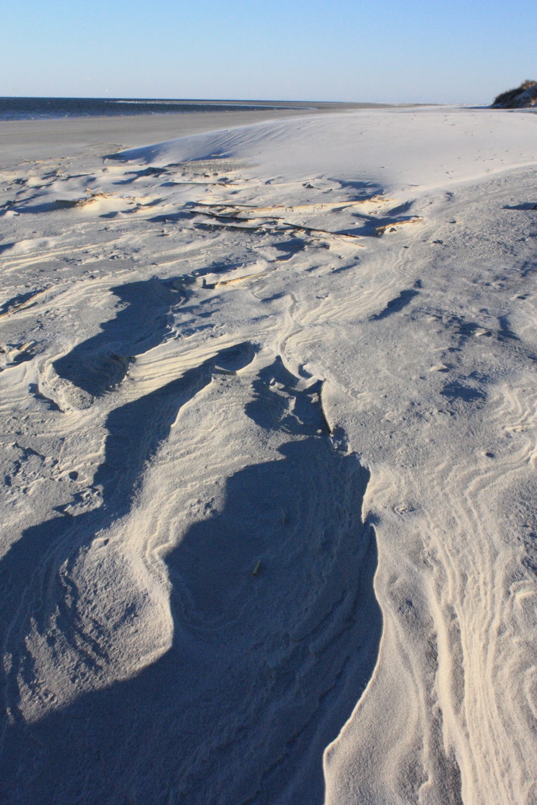 Photoz Little Cumberland Island, GA