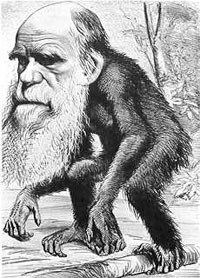 [Darwin_monkey.jpg]
