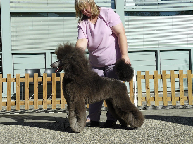 "Sky" is handled by J. Seymour