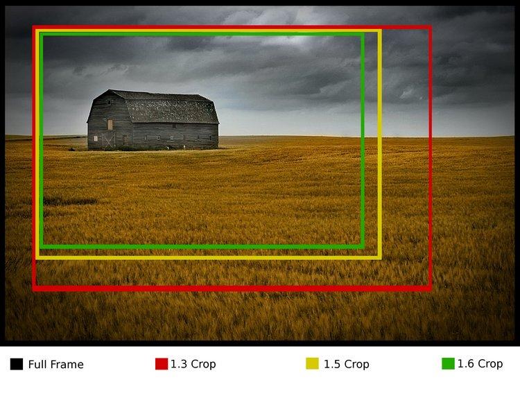 Nikon Digital Camera Guys explain The Effects of Cropped Sensors on